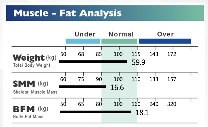 Body fat percentage vs muscle mass