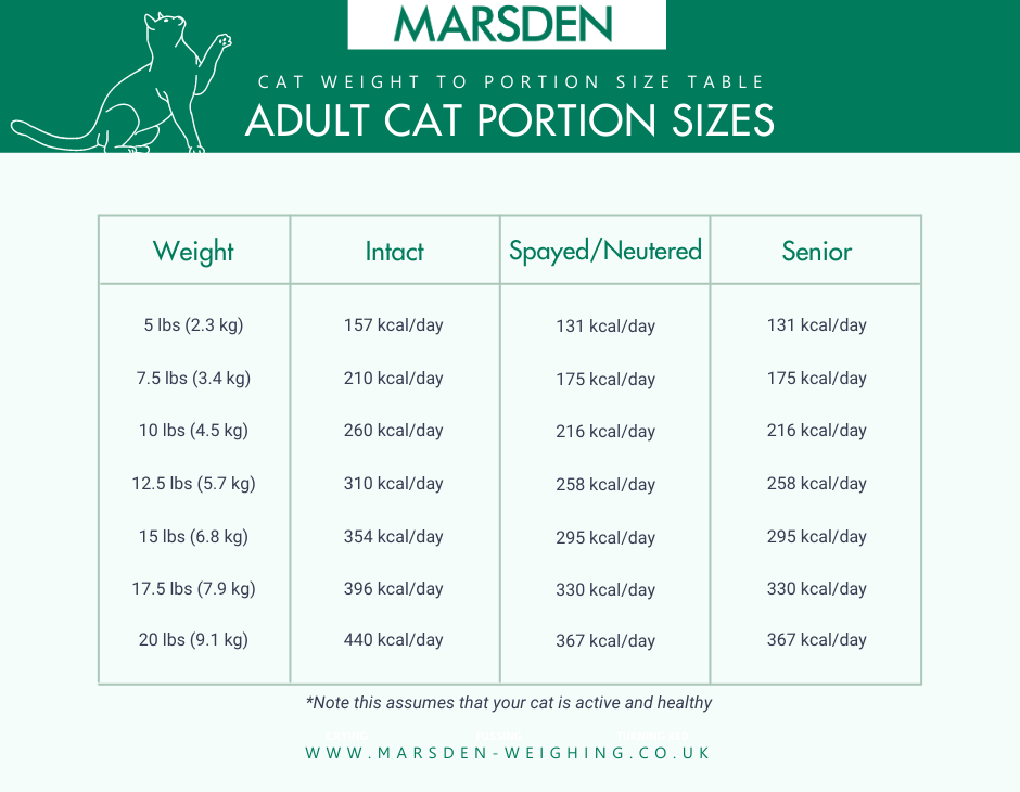 How Much Should I Feed My Cat Marsden Weighing