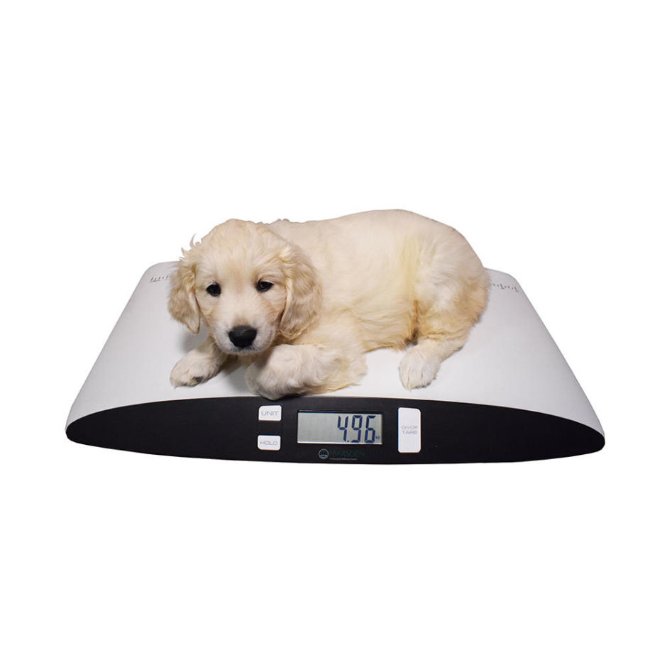 Marsden V-25 Low Cost Small Veterinary Weighing Scale for Weighing