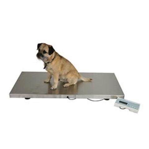 https://www.marsden-weighing.co.uk/storage/images/products/marsden-v-250-large-veterinary-scale/_480x480_fit_center-center_75_none/Marsden-V-250-Large-Pet-Veterinary-Scale-2.jpg
