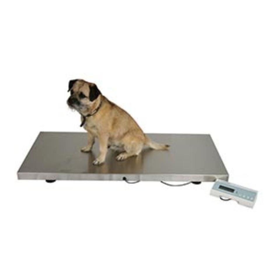 https://www.marsden-weighing.co.uk/storage/images/products/marsden-v-250-large-veterinary-scale/_940x940_fit_center-center_75_none/Marsden-V-250-Large-Pet-Veterinary-Scale-2.jpg